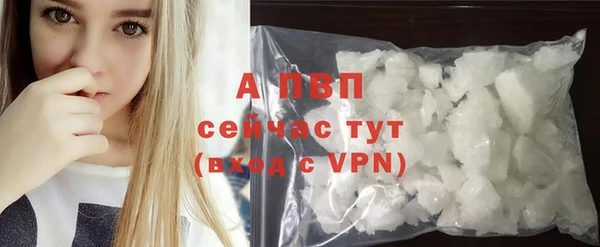 индика Алексин