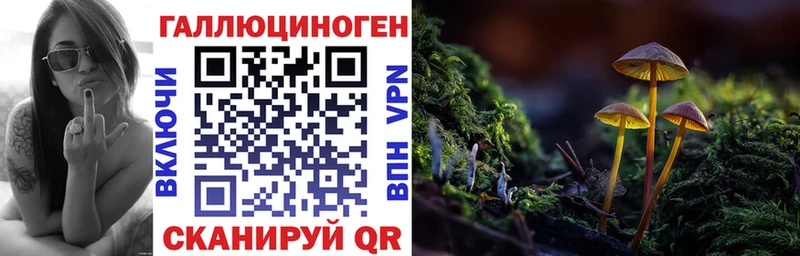 купить blacksprut Псилоцибиновые грибы мицелий Хасавюрт