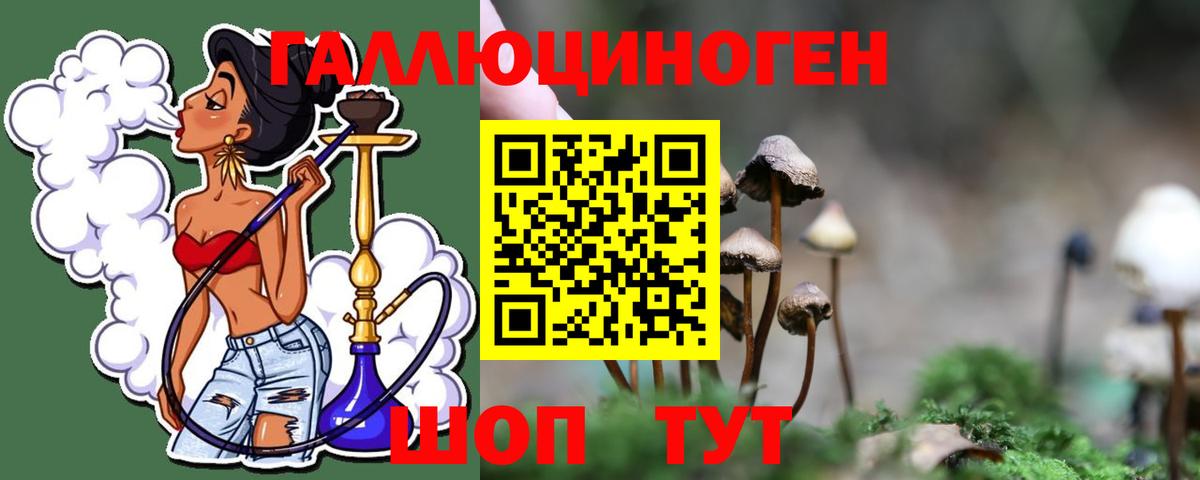 Хасавюрт  Псилоцибиновые грибы Psilocybe  Вход с VPN  Галлюциногенные грибы ЛСД 